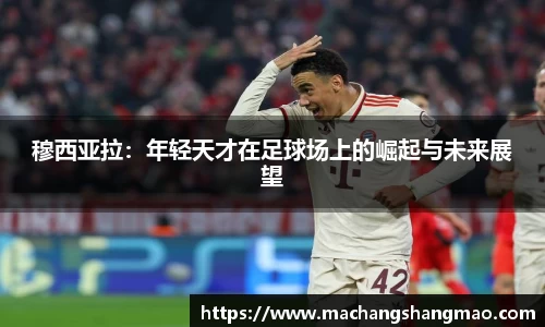k1体育网页版