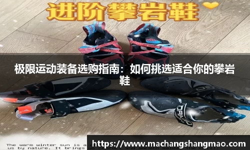 k1体育