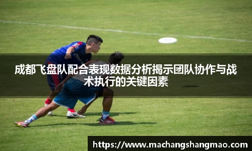 k1体育APP