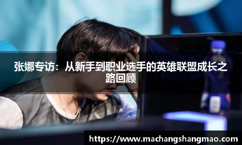 k1体育网页版
