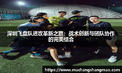 k1体育官方网站