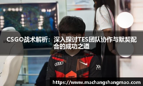 k1体育